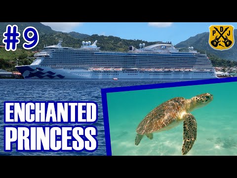 Enchanted Princess Pt.9 - Baby Beach Snorkeling, Turtle Time, Back To The Ship, Liar's Club Game