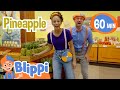 Blippi And Meekah Visit The Discovery Cube Children S Museum Fun And Educational Videos For Kids