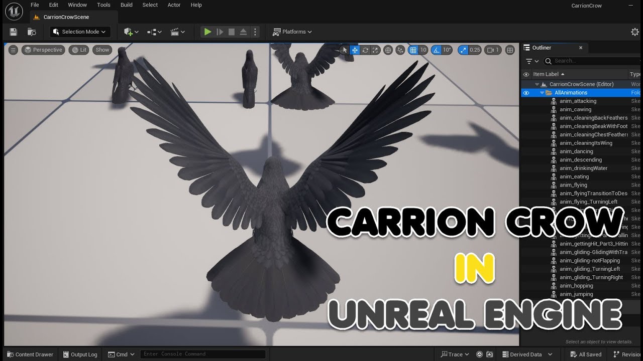 Corvo Carniceiro Animado Realista Modelo 3D