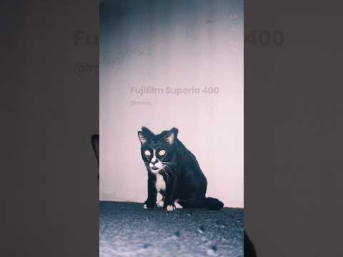 Fujifilm Superia 400 - miun