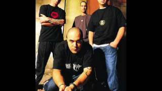 Staind Warm Safe Place
