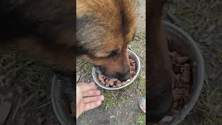 Download lagu Ziua 6 de tratament pentru Lord - Dimineata😓💔Nu este chiar ieftin. Daca doriti sa ajutati, ma bucur mp3