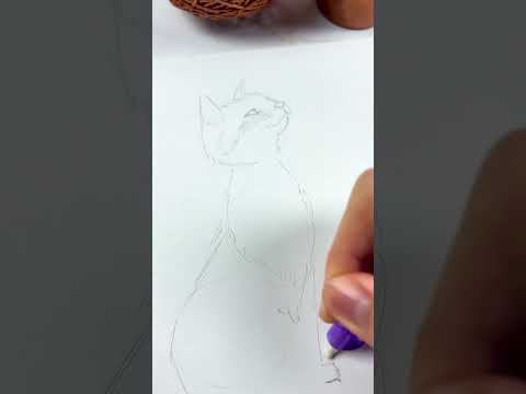 Vídeo do produto Lapiseira 0.7mm UP - Sortido