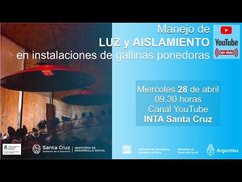 , title : 'Manejo de luz y aislamiento térmico en instalaciones de gallinas ponedoras'