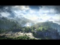 The Witcher 3: Wild Hunt OST - The Fields of Ard ...