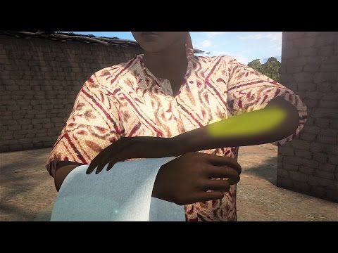 寄生タンブバエのライフサイクル