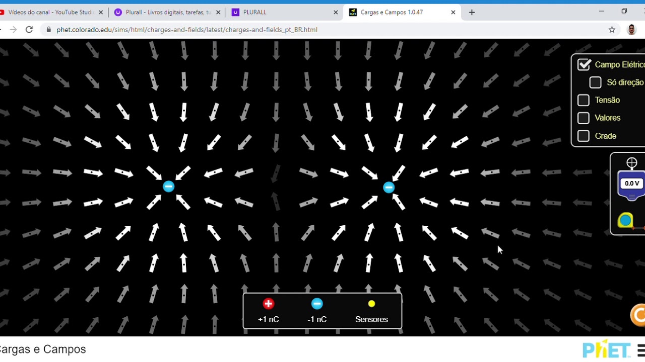 Cargas e Campo elétrico - Física - Simulador PheT
