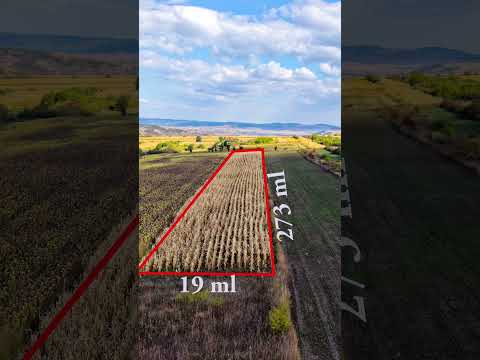 Video Teren extravilan arabil 5.000 mp, acces din două drumuri – Daia