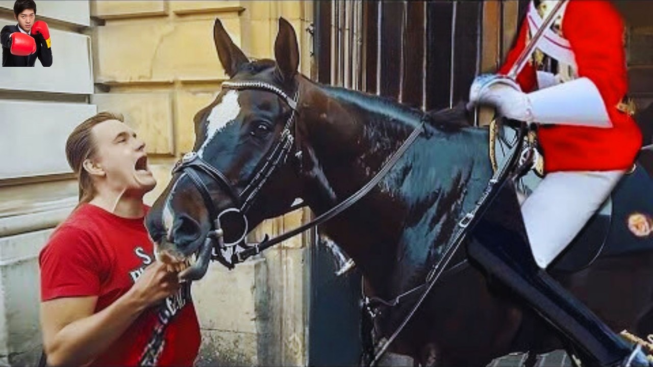 Royal Guards BREAK Character in the Most Heartfelt Moments