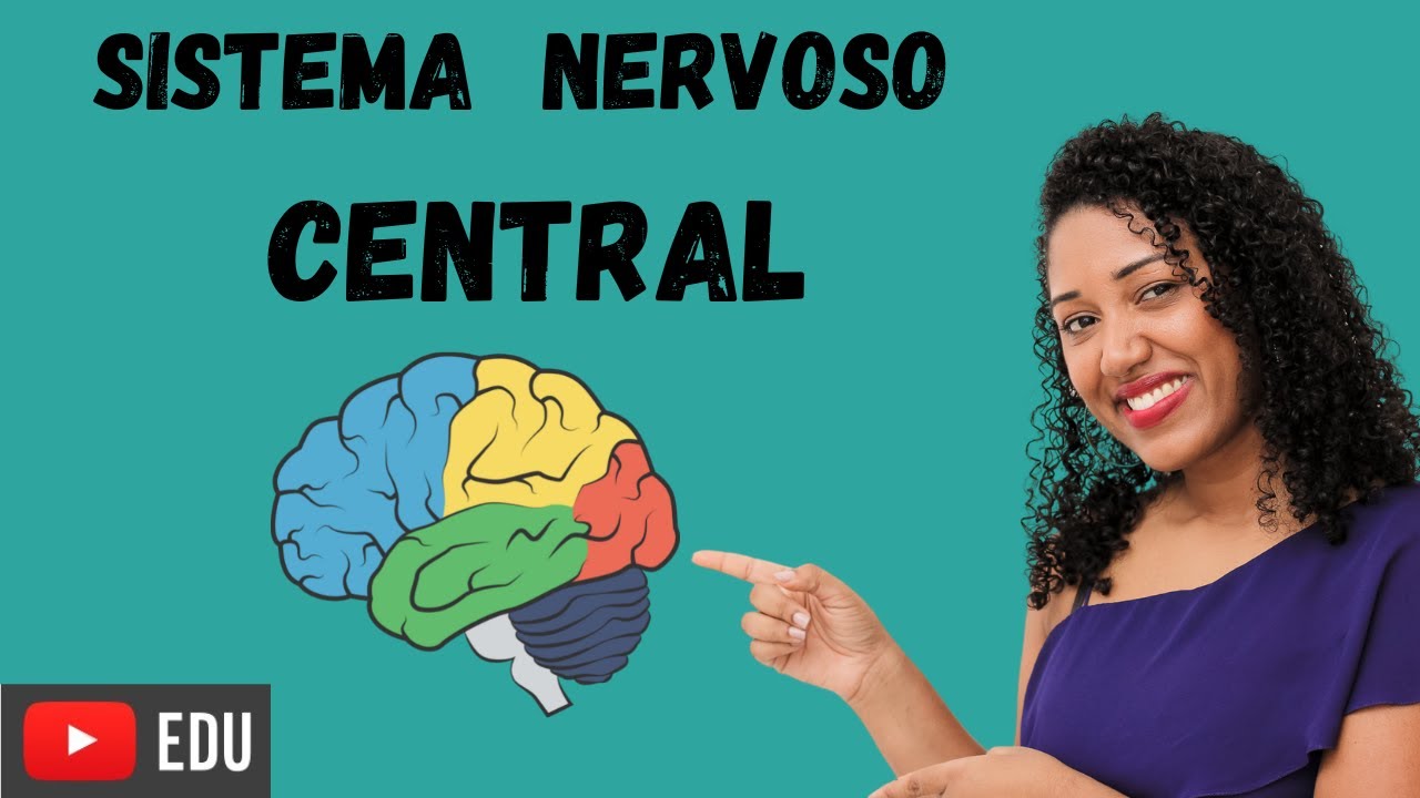 Aula Sistema Nervoso Central - Ensino fundamental