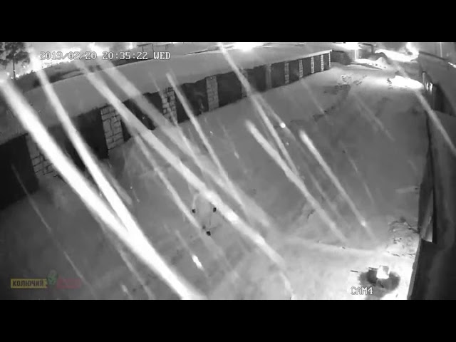 Когда очень хотелось шашлыков...