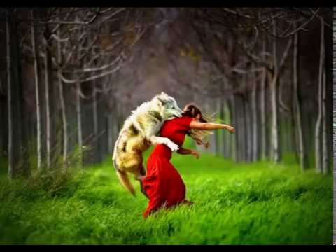 Concept vs Scorb - Dissident Factions