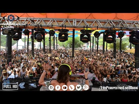 Michele Adamson - Eco Tribe - Best Moments