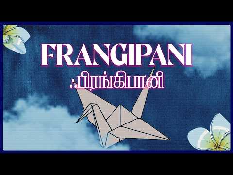 Frangipani (Acoustic) - Lyric Video - Kaber Vasuki - Raw Tapes 01