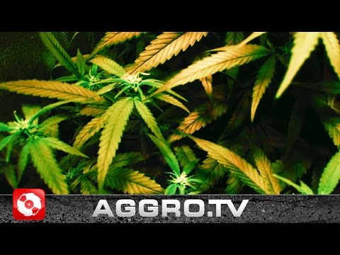 KING KEIL - GREENHOUSE FEAT DJ FASTCUT (OFFICIAL HD VERSION AGGROTV)
