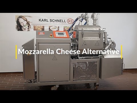 Mozzarella Cheese Alternative with Jeneil cheese flavor concentrate
