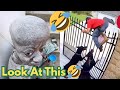 So Funny You Ll Forget What You Were Doing Part 4