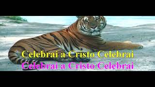 Karaokê - Padre Zeca - Celebrai - Gospel - Evangélica - Cristã