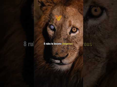 8 Rules to become dangerous 😵‍💫 #motivation #mindset #entrepreneur #entrepreneurquotes #success