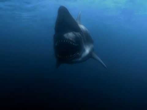 Trailer de Tiburones en Malibú