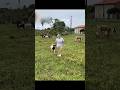 Funny RAM ATTACKS