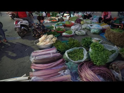 Early Morning Vegetables Market on The Street - Walking Tour Around Vegetables Market @Chhbar Ampov