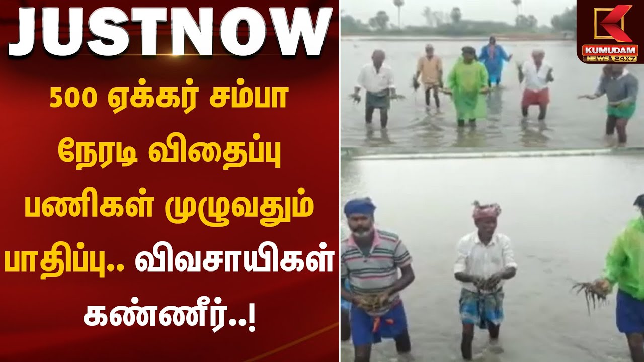 Ditwah | Farmers | 500 ஏக்கர் சம்பா நேரடி விதைப்பு பணிகள் முழுவதும் பாதிப்பு.. விவசாயிகள் கண்ணீர்