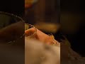Jamesbond Jamesbond New WhatsApp Status Shorts