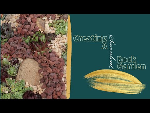 HOW TO Create A Hardy Succulent Rock Garden| Jhuly's Aquatics & Gardening