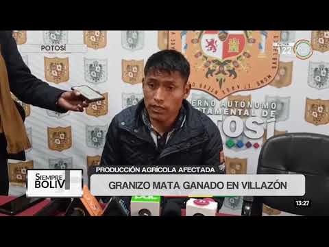 Granizada en Villazón deja 160 cabezas de ganado muertas y afecta la producción agrícola