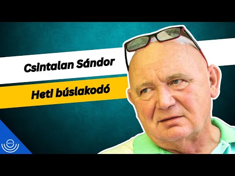 Pirkadat: Csintalan Sándor – Heti búslakodó