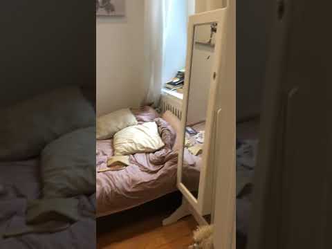 video 1