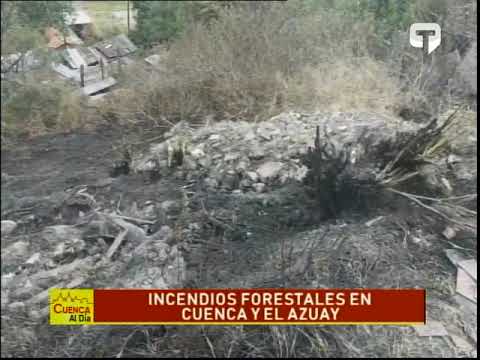 Incendios forestales en Cuenca y el Azuay