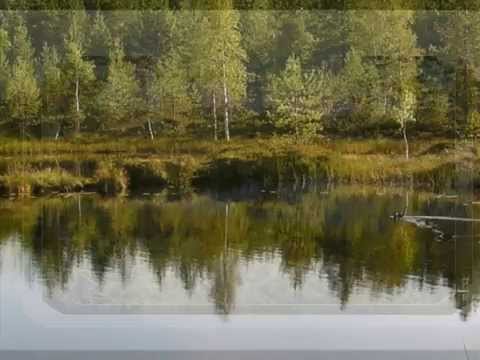 Uudesti syntynyt suolampi