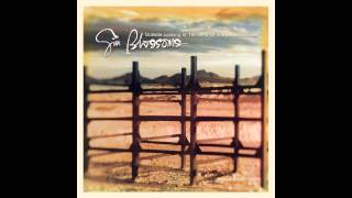 Gin Blossoms, "Found Out about You"
