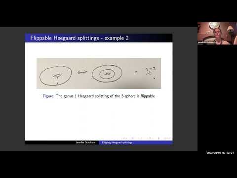 Conference: Low Dimensional Topology, Jennifer Schultens, UC Davis: Flipping Heegaard Splittings