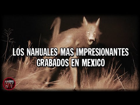 LOS NAHUALES MAS IMPRESIONANTES GRABADOS EN MEXICO