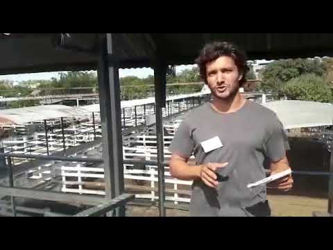 Mercado de Liniers Plantel 2