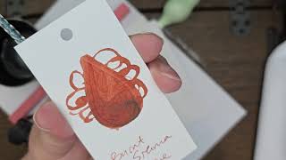 Burnt Sienna Ink Review Diamine Fountain Pen Ink