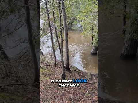 River Swells, Island Vanishes, and Waterfall Appears: A Michigan Flooding Story