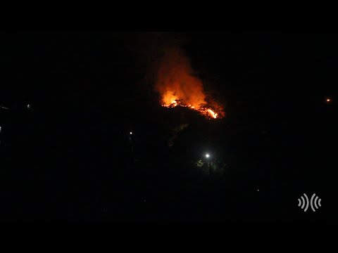 Incêndio atinge área de vegetação no bairro Cônego, em Nova Friburgo; vídeo