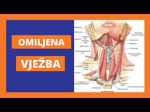Vježba za BOL i napetost u VRATU