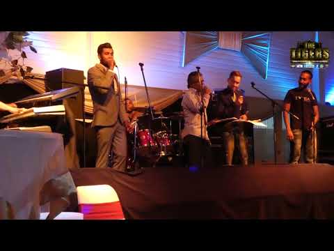 Muziekformatie The Tigers - Fragments (Live in Tropical 2018)