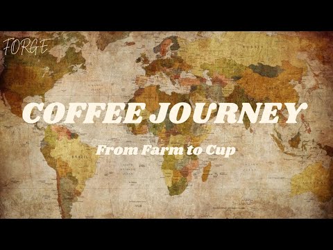 The Journey of Coffee Beans: From Farm to Cup