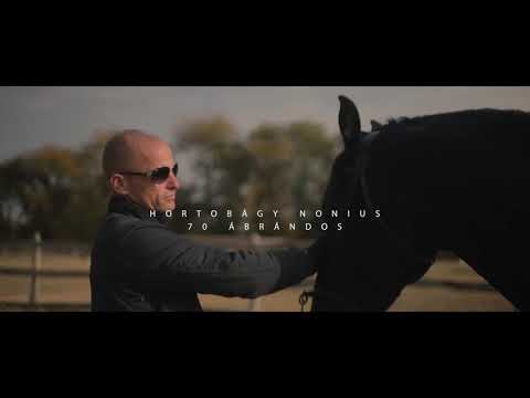 tabletták női erekcióhoz
