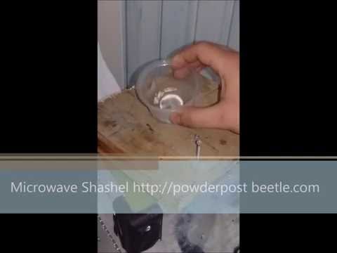 How to treat powder post beetles?  Drywood termites ?