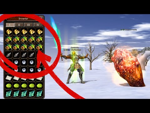 Metin2 - 10 Stunden Eisland waren anders!