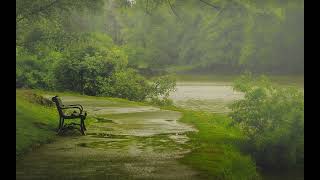 Rain Song - Day of Fire