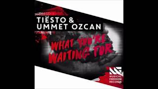 Tiësto & Ummet Ozcan - What You're Waiting For