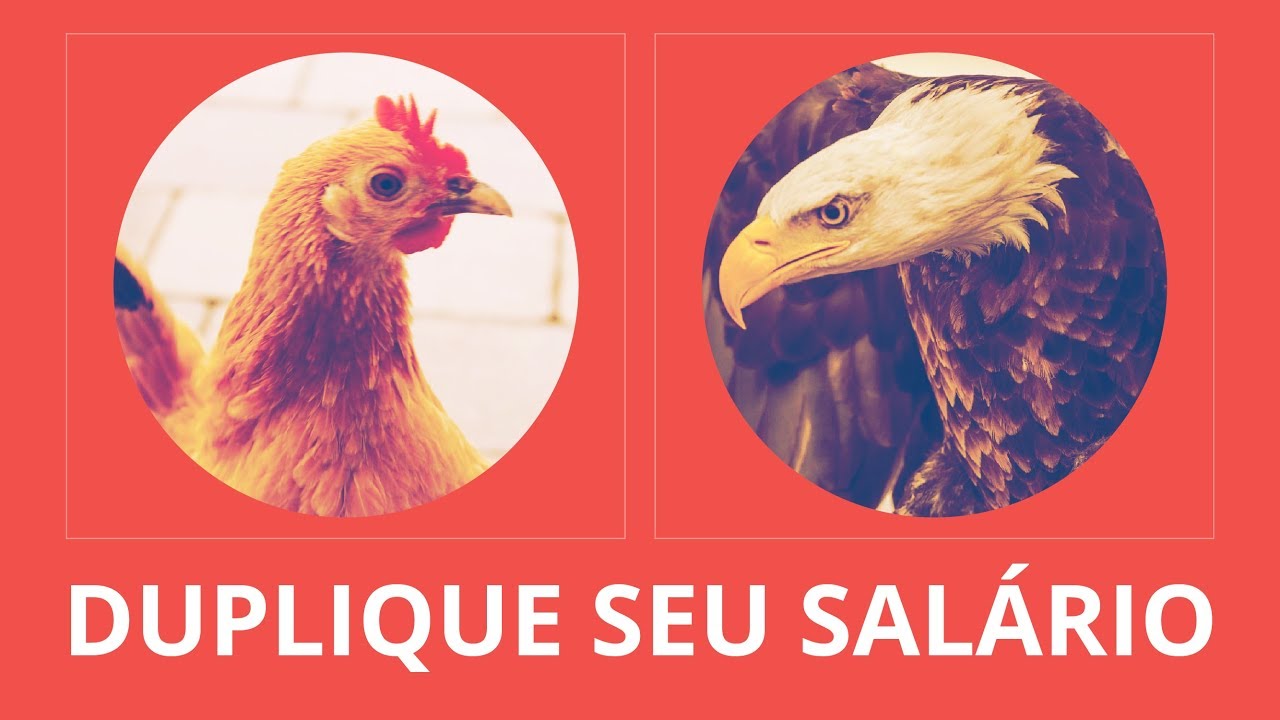 Duplique seu salário entendendo a diferença entre a águia e a galinha